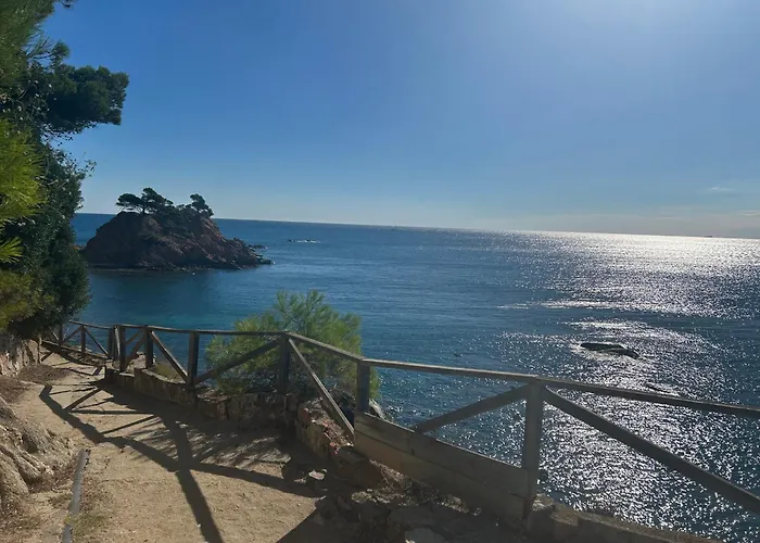 Eivissenc