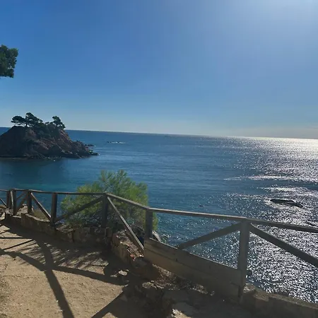 Eivissenc